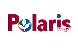 PolarisWebLogo