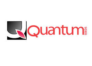 QuantumWebLogo